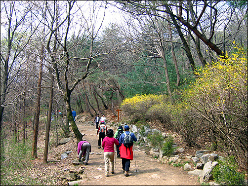 봄냄새가 물씬 풍기는 청계산의 초입 